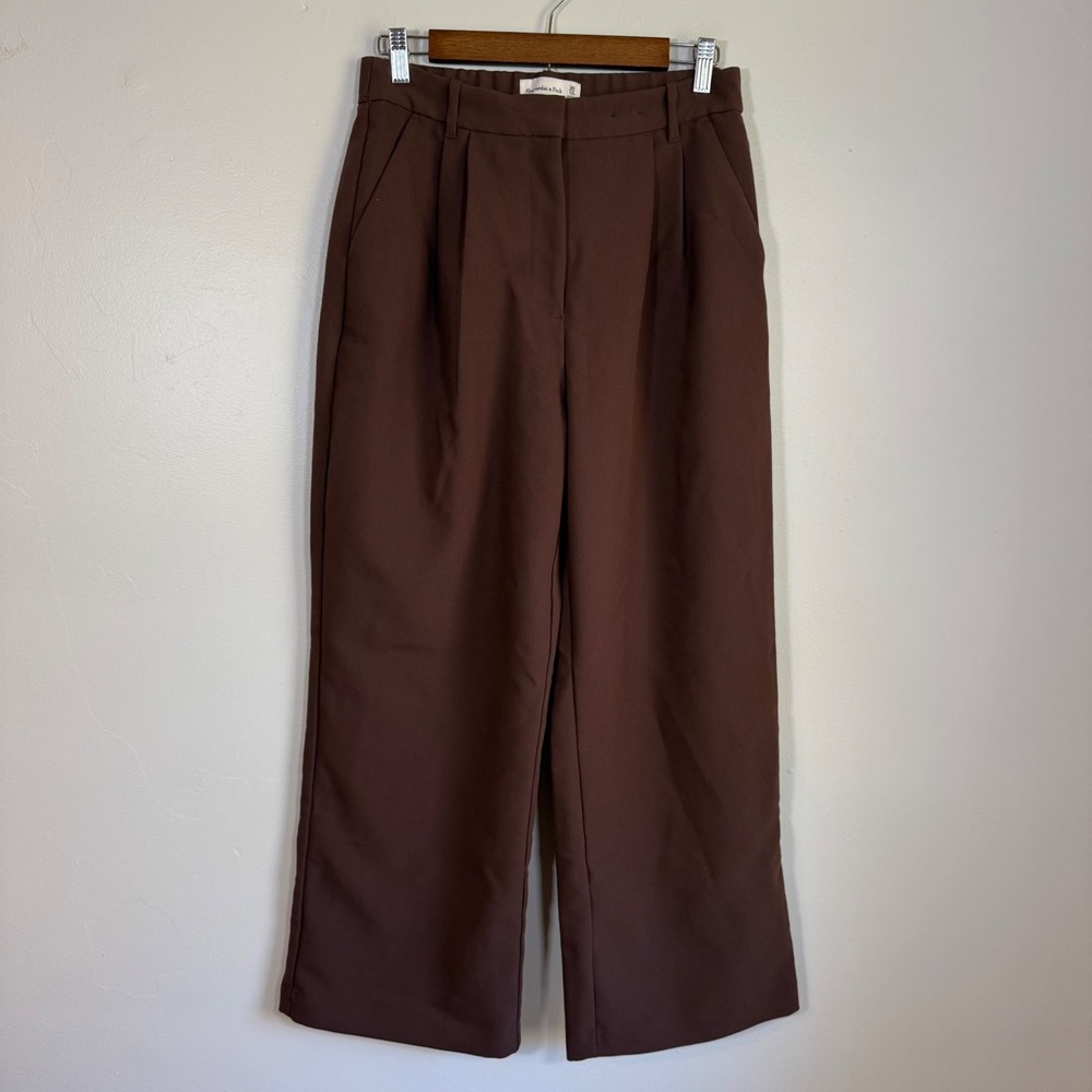 Abercrombie & Fitch Sloane High Rise Pleated Wide Leg Pant Size 30/10S Brown
